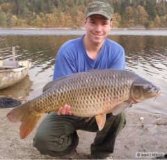 Kliknutím fotografii zvětšíte Kapr obecný 82 cm