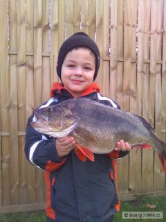 Kliknutím fotografii zvětšíte Okoun 51cm 1,75kg