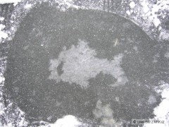 Rybička