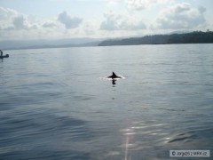 Kliknutím fotografii zvětšíte Costa Rica