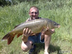 Kliknutím fotografii zvětšíte kapor 2008
