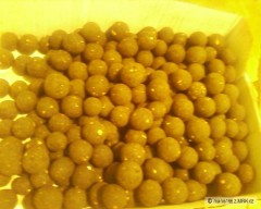 Kliknutím fotografii zvětšíte boilies 1