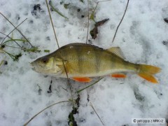 Kliknutím fotografii zvětšíte Zase ta Blanice