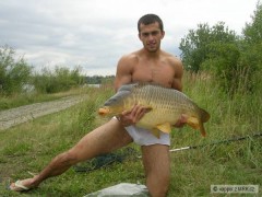 Kliknutím fotografii zvětšíte Kapr 96cm, 20,3Kg