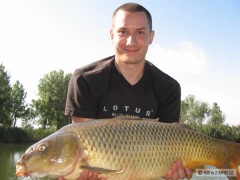 Kliknutím fotografii zvětšíte na feeder