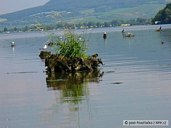 Kliknutím fotografii zvětšíte D7
