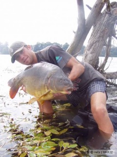 lysec 11kg tuhej boj