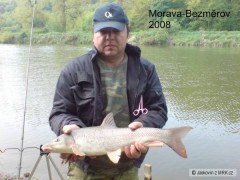 Kliknutím fotografii zvětšíte Parmička z Moravy