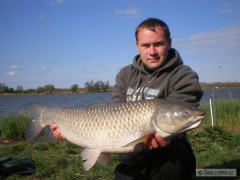 Kliknutím fotografii zvětšíte Merenye 2008