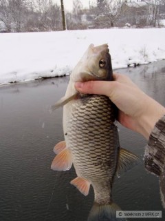 taky tloušť...45 cm