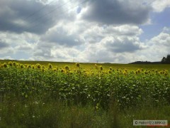 Kliknutím fotografii zvětšíte Nad priehradou