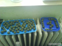 Kliknutím fotografii zvětšíte boilies.
