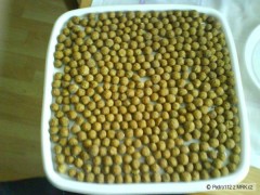 Kliknutím fotografii zvětšíte boilies-nove
