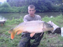 Kliknutím fotografii zvětšíte kapr 87cm