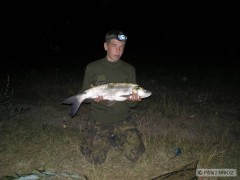 Kliknutím fotografii zvětšíte bolen 60cm
