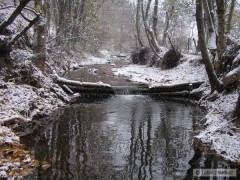 Kliknutím fotografii zvětšíte Návojka