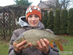 kapr 45cm