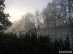 Kliknutím fotografii zvětšíte Ráno na řece