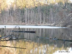 Kliknutím fotografii zvětšíte