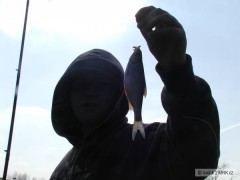 ja s moj prvn rybou roku 2009