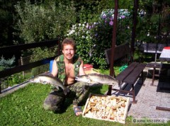 Kliknutím fotografii zvětšíte když se daří,tak se daří