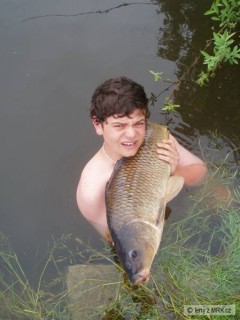 carp