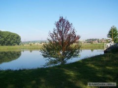 L�to 2008 �erotice
