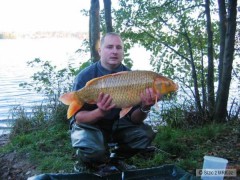 Zlat� rybka