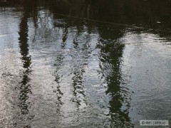 Kliknutím fotografii zvětšíte ticho...