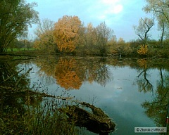 Kliknutím fotografii zvětšíte