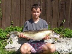 Cand�t obecn�