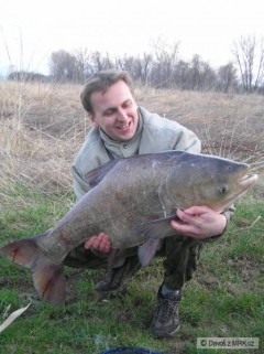 Kliknutím fotografii zvětšíte Tolstolobik 87 cm