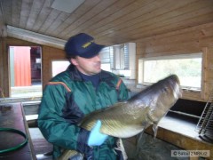 Kliknutím fotografii zvětšíte Hitra 2008