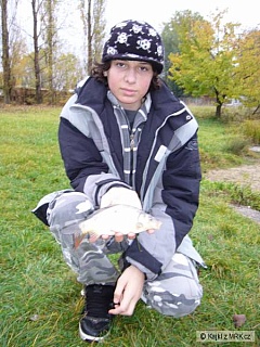 Kliknutím fotografii zvětšíte mini kapr