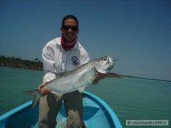 Kliknutím fotografii zvětšíte Tarpon 20lb na musku.