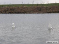 Kliknutím fotografii zvětšíte Nové tučné tyčovky od Foxe.