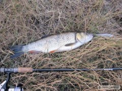 P�kn� tlou�� na Rapala Shallow Shad Rap 9cm SSH