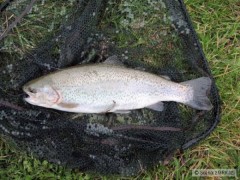 P�kn� n�sa��k, kter� neodolal Berkley nymph