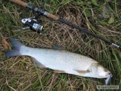 Shad Rap a bolen 66cm