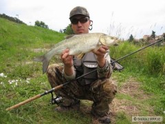 Bolen 65cm  na Shad Rap 7cm SSH