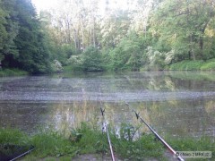 Kliknutím fotografii zvětšíte Ranní idylka na Hájově