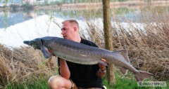 Kliknutím fotografii zvětšíte Frňákovník