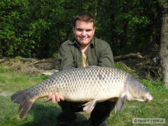 Kliknutím fotografii zvětšíte kapor-95cm a 14kg