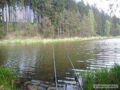 Kaprařina_2