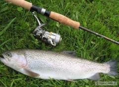 Prvn� ryba dal��ho dne, duh�k 45cm