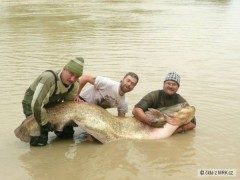 Kliknutím fotografii zvětšíte Pád 237 cm, 115 kg_1