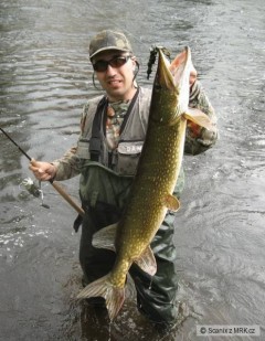 A zde dobojov�no, �tika 108cm 7,8kg