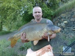Kliknutím fotografii zvětšíte Labe-92cm,21kg