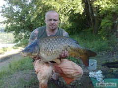 Kliknutím fotografii zvětšíte Labe-85cm,16kg