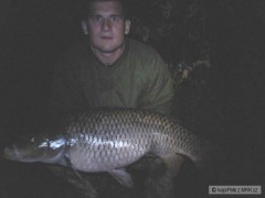 Kliknutím fotografii zvětšíte Kapr 88cm 13,3kg